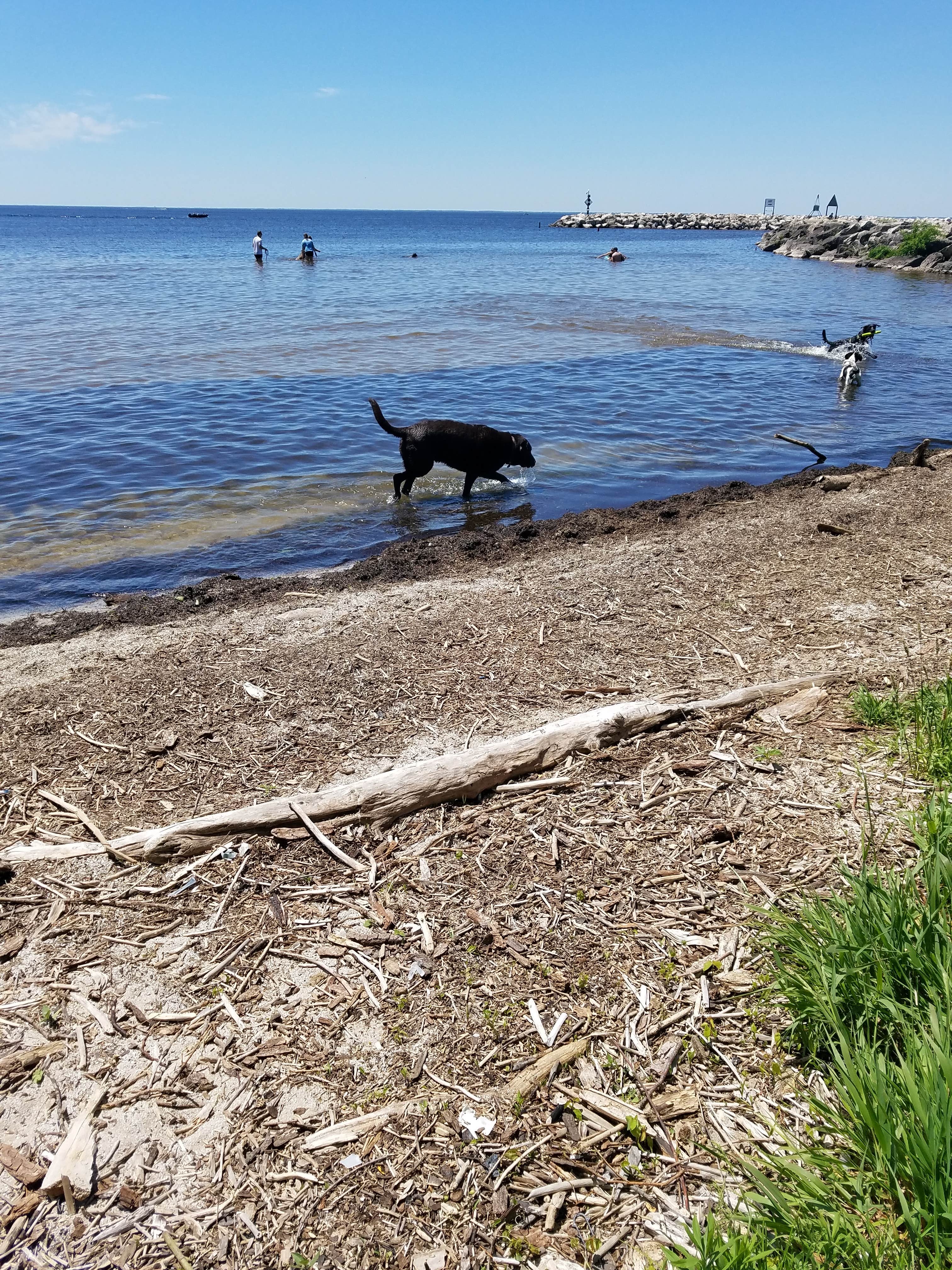 Camper-submitted photo at High Cliff State Park Campground near Malone, WI
