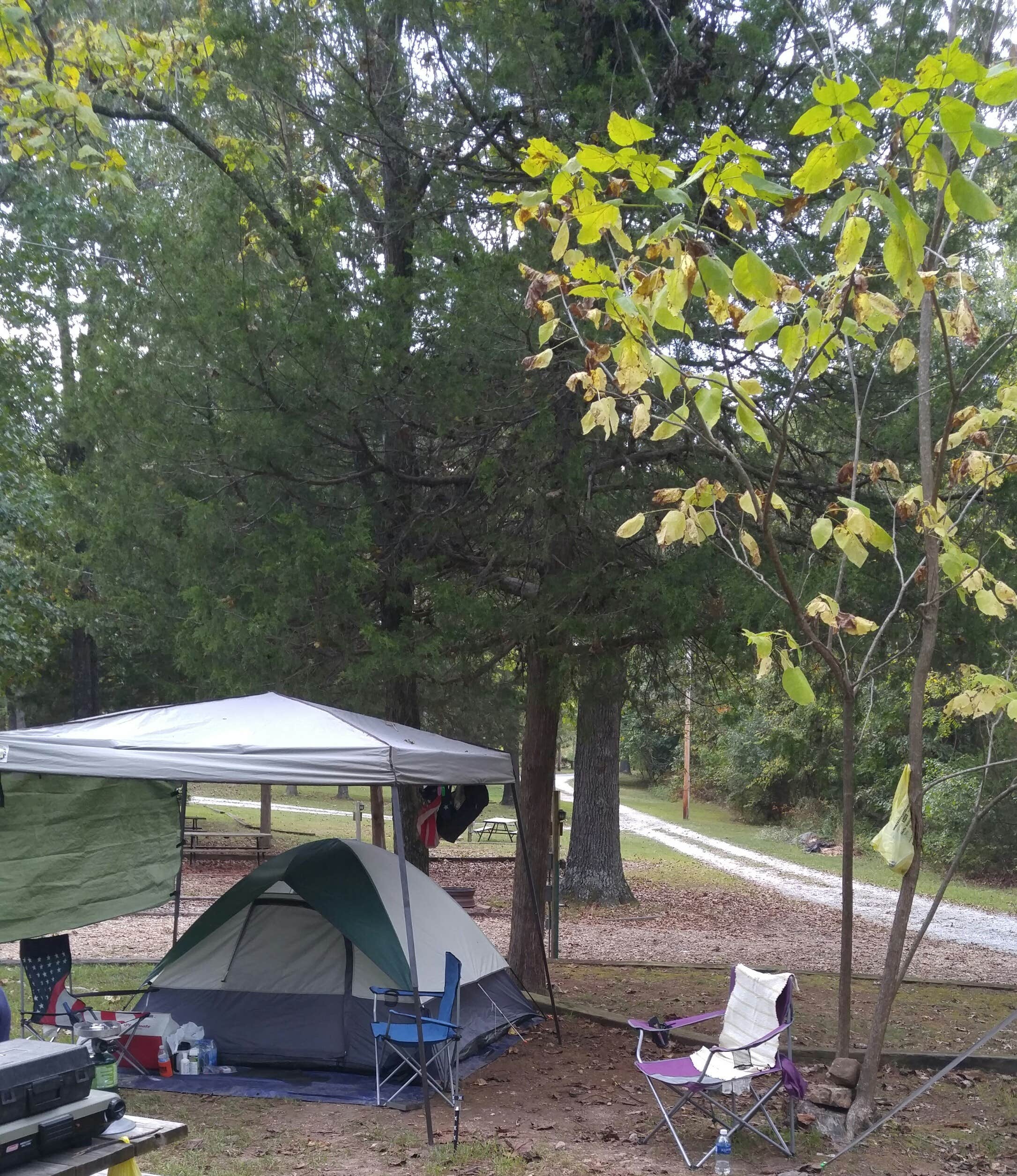 Paula F.'s photo at Shady Oaks Campground & RV Park near Everton, AR