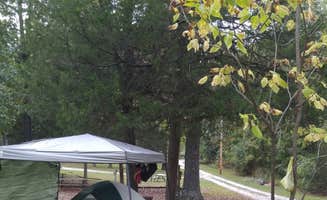 Paula F.'s photo at Shady Oaks Campground & RV Park near Mount Judea, AR
