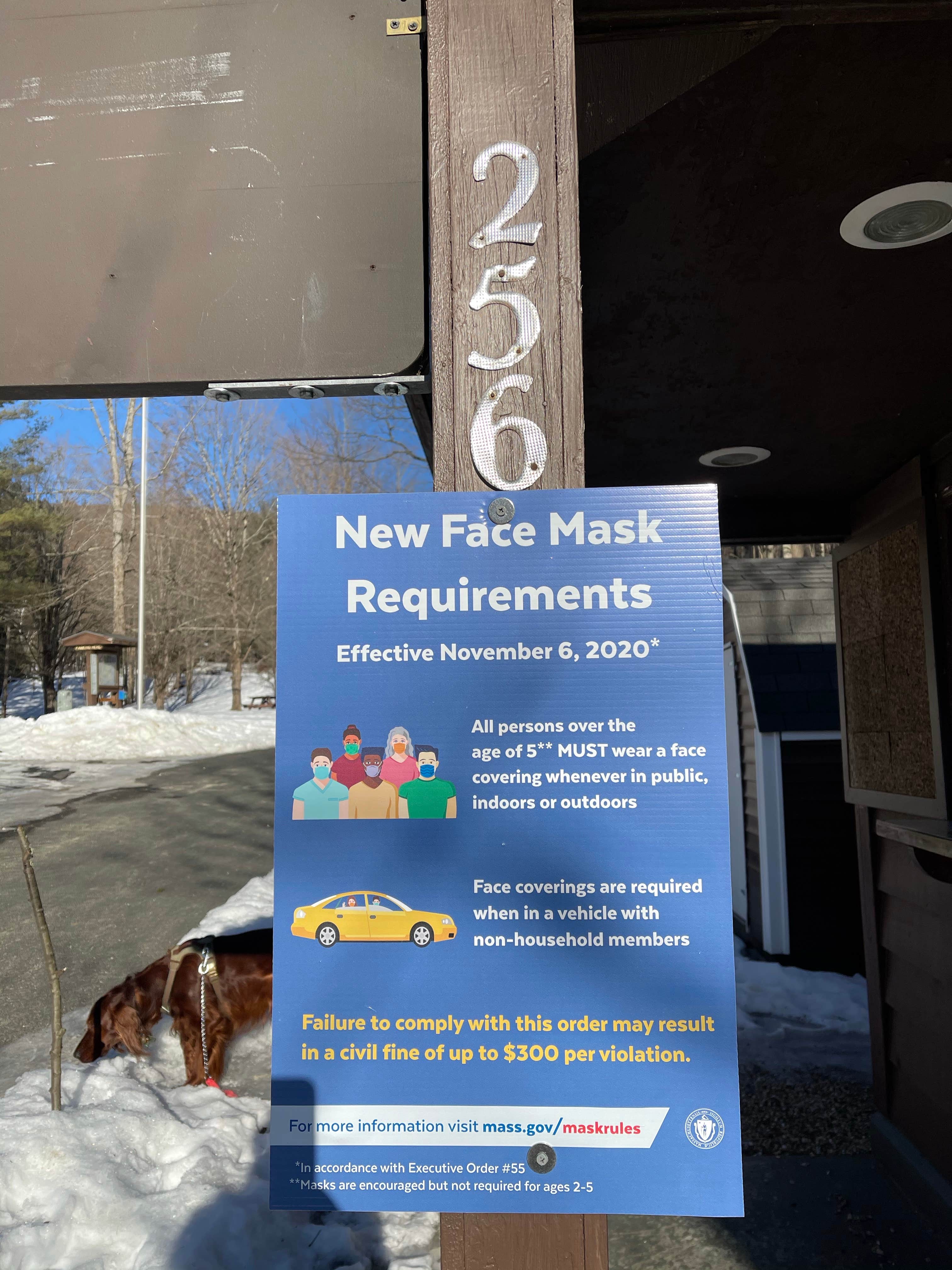 Cheryl B.'s photo of camping with pets at October Mountain State Forest Campground near Sandisfield, MA