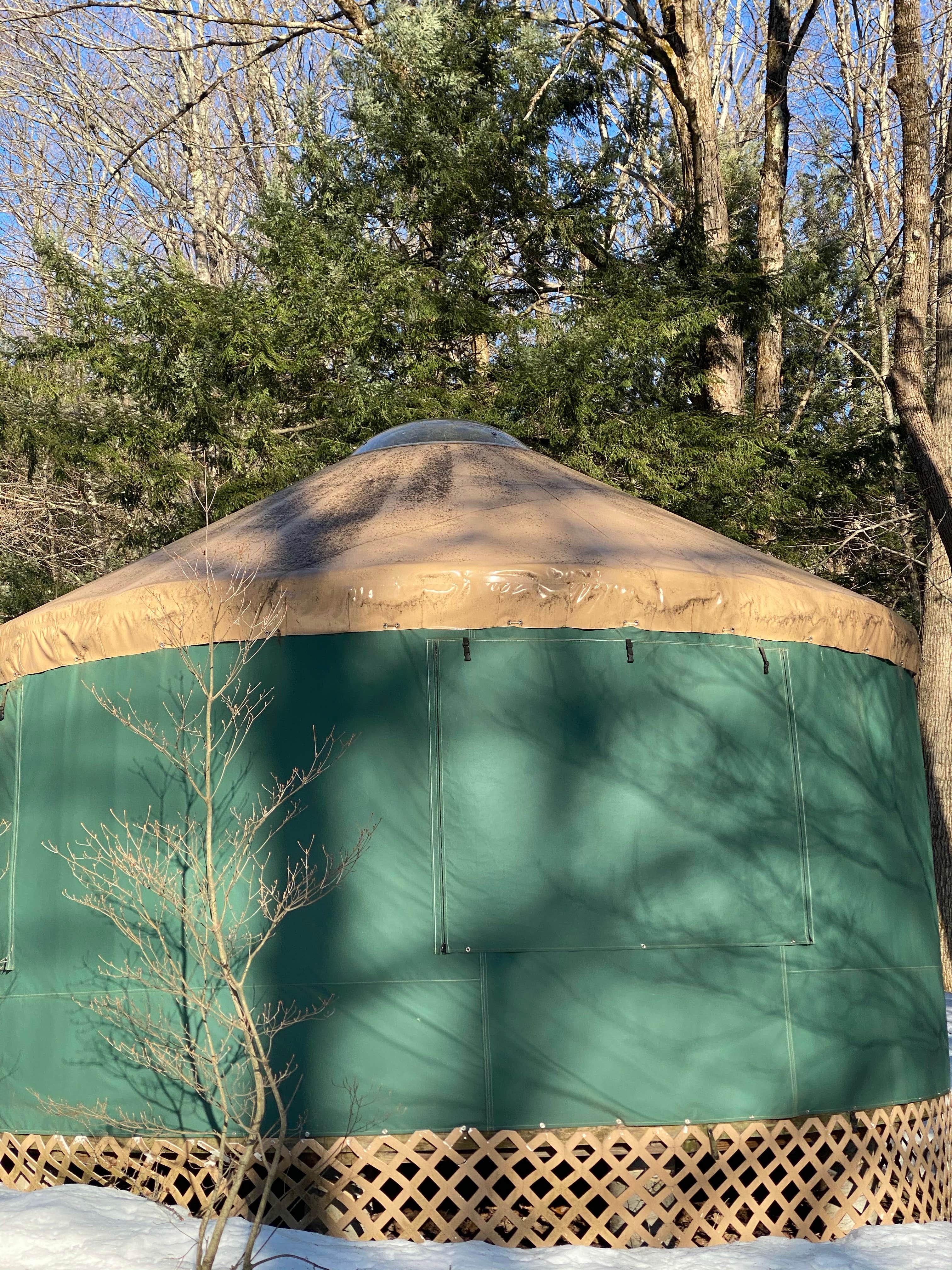 Cheryl B.'s photo at October Mountain State Forest Campground near Becket, MA