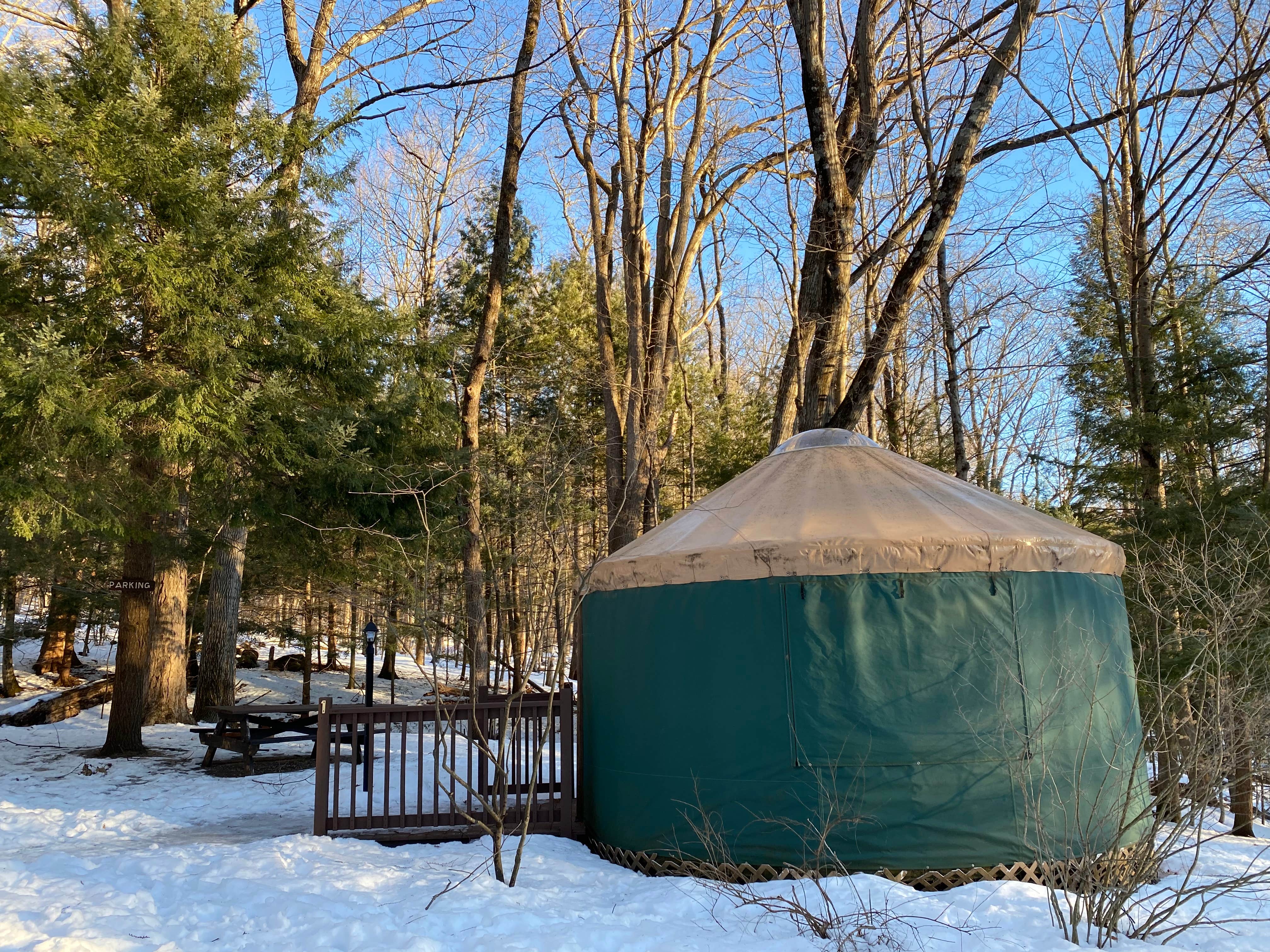 Cheryl B.'s photo at October Mountain State Forest Campground near Sandisfield, MA