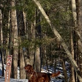 Review photo of October Mountain State Forest by Cheryl B., March 5, 2021