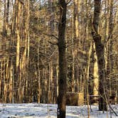 Review photo of October Mountain State Forest by Cheryl B., March 5, 2021