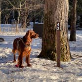 Review photo of October Mountain State Forest by Cheryl B., March 5, 2021