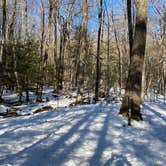 Review photo of October Mountain State Forest by Cheryl B., March 5, 2021