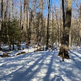Review photo of October Mountain State Forest by Cheryl B., March 5, 2021