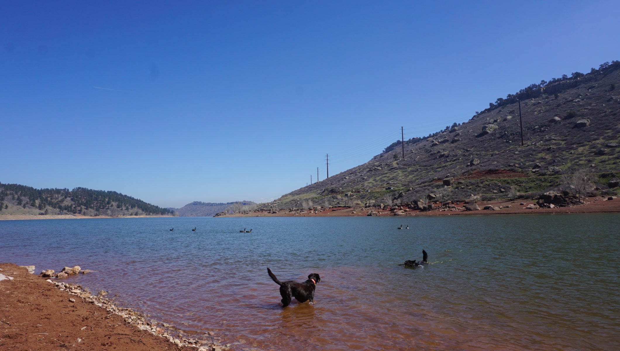 Camper submitted image from Horsetooth Reservoir - 5