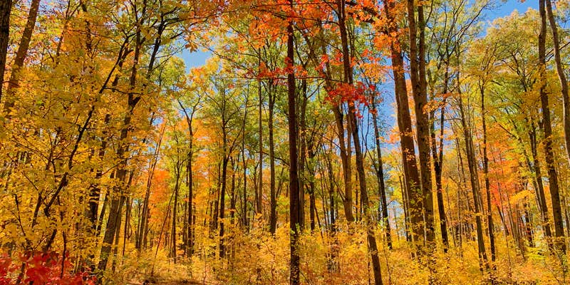 Camper submitted image from Trout Lake