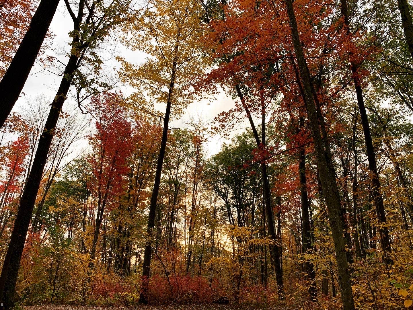 Camper-submitted photo at Trout Lake near Beaverton, MI