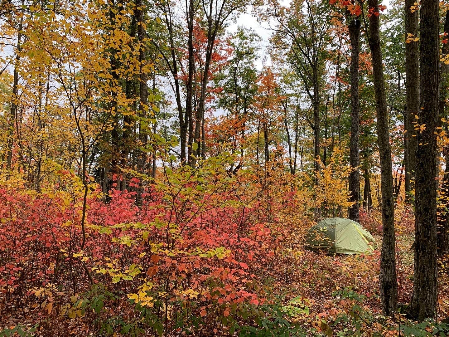 Camper-submitted photo at Trout Lake near Beaverton, MI