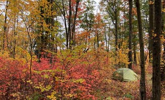 Kate K.'s photo at Trout Lake near Beaverton, MI