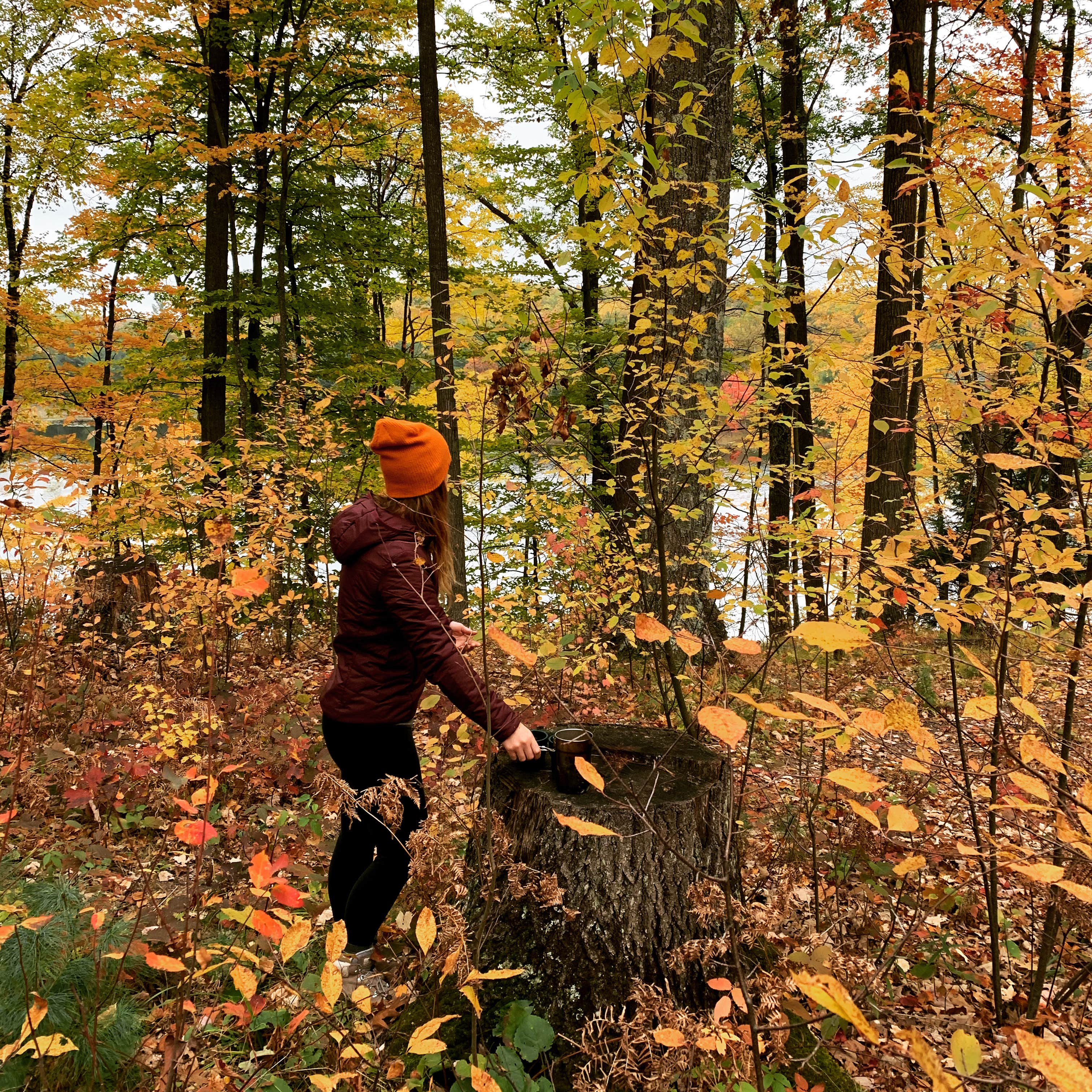 Camper submitted image from Trout Lake - 3