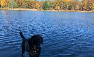 Kate K.'s photo of camping with pets at Trout Lake in Michigan