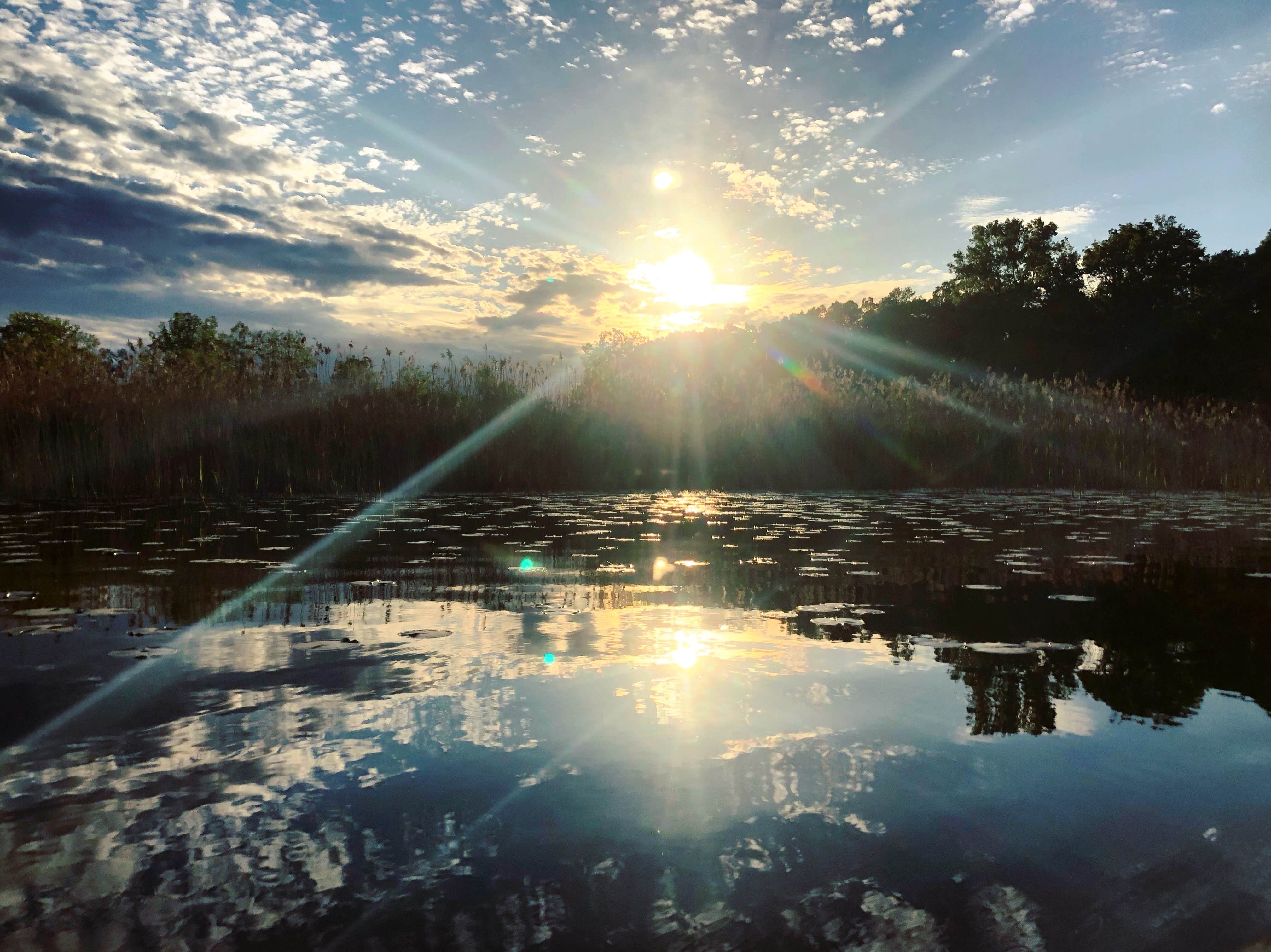 Camper-submitted photo at Bald Mountain Recreation Area near Auburn Hills, MI