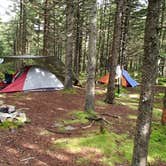 Review photo of Spruce Knob Lake Campground by Dave V., September 8, 2016