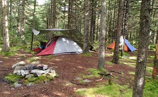 Dave V.'s photo at Spruce Knob Lake Campground near Glady, WV