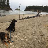 Review photo of Sunset Bay State Park Campground by Rocco , March 5, 2021