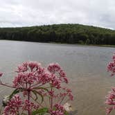 Review photo of Spruce Knob Lake Campground by Dave V., September 8, 2016