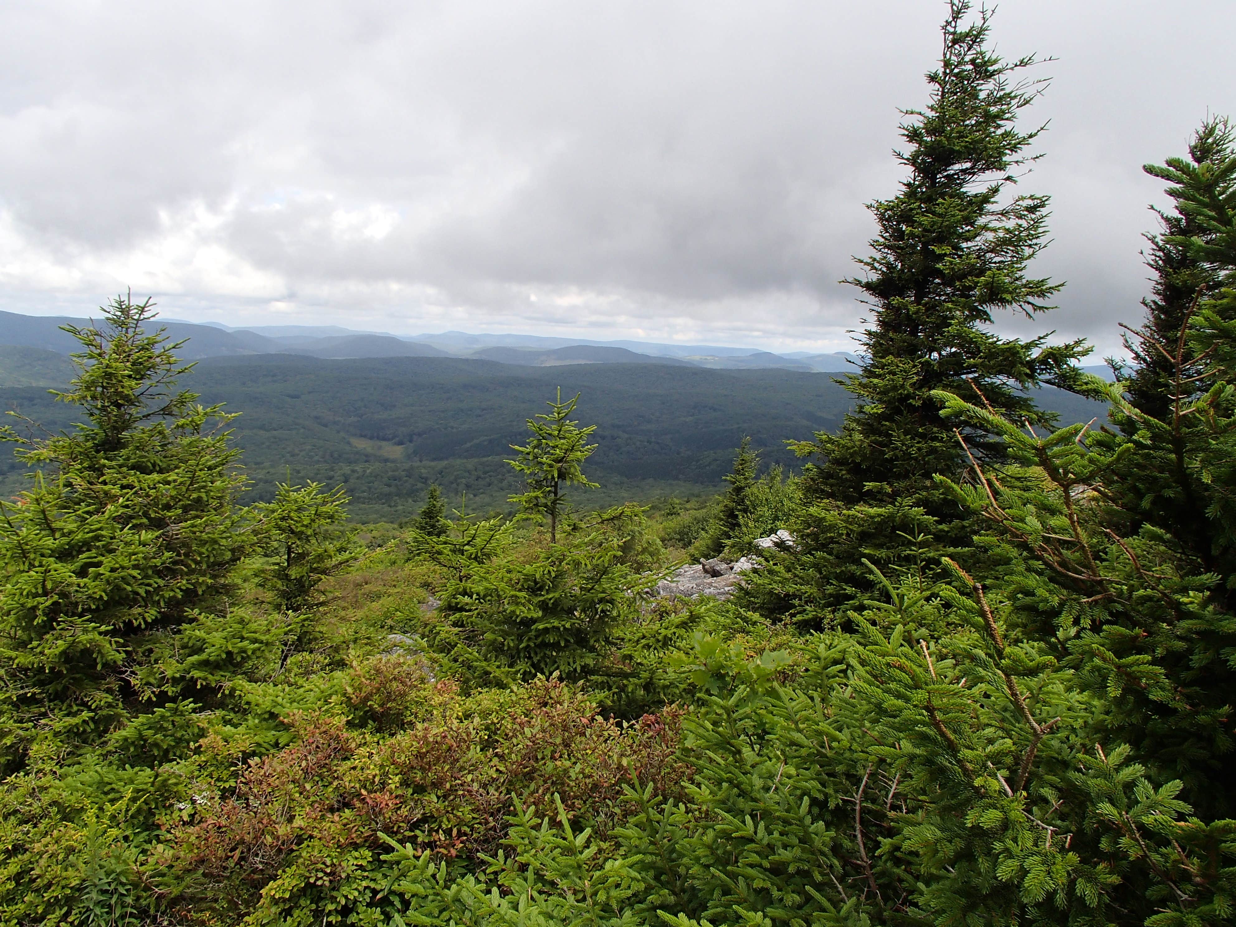 Camper-submitted photo at Spruce Knob Lake Campground near Glady, WV
