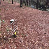 Review photo of Magnolia Campground — O'Leno State Park by Angela M., March 5, 2021