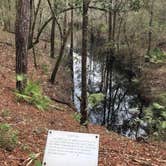 Review photo of Magnolia Campground — O'Leno State Park by Angela M., March 5, 2021