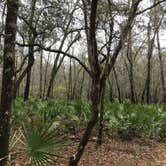 Review photo of Magnolia Campground — O'Leno State Park by Angela M., March 5, 2021