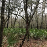 Review photo of O'Leno State Park Campground by Angela M., March 5, 2021
