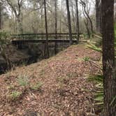 Review photo of Magnolia Campground — O'Leno State Park by Angela M., March 5, 2021