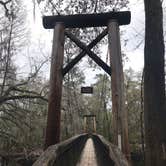 Review photo of O'Leno State Park by Angela M., March 5, 2021