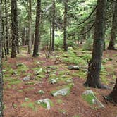 Review photo of Laurel Fork Campground by Dave V., September 26, 2016