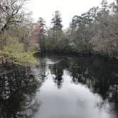 Review photo of Magnolia Campground — O'Leno State Park by Angela M., March 5, 2021