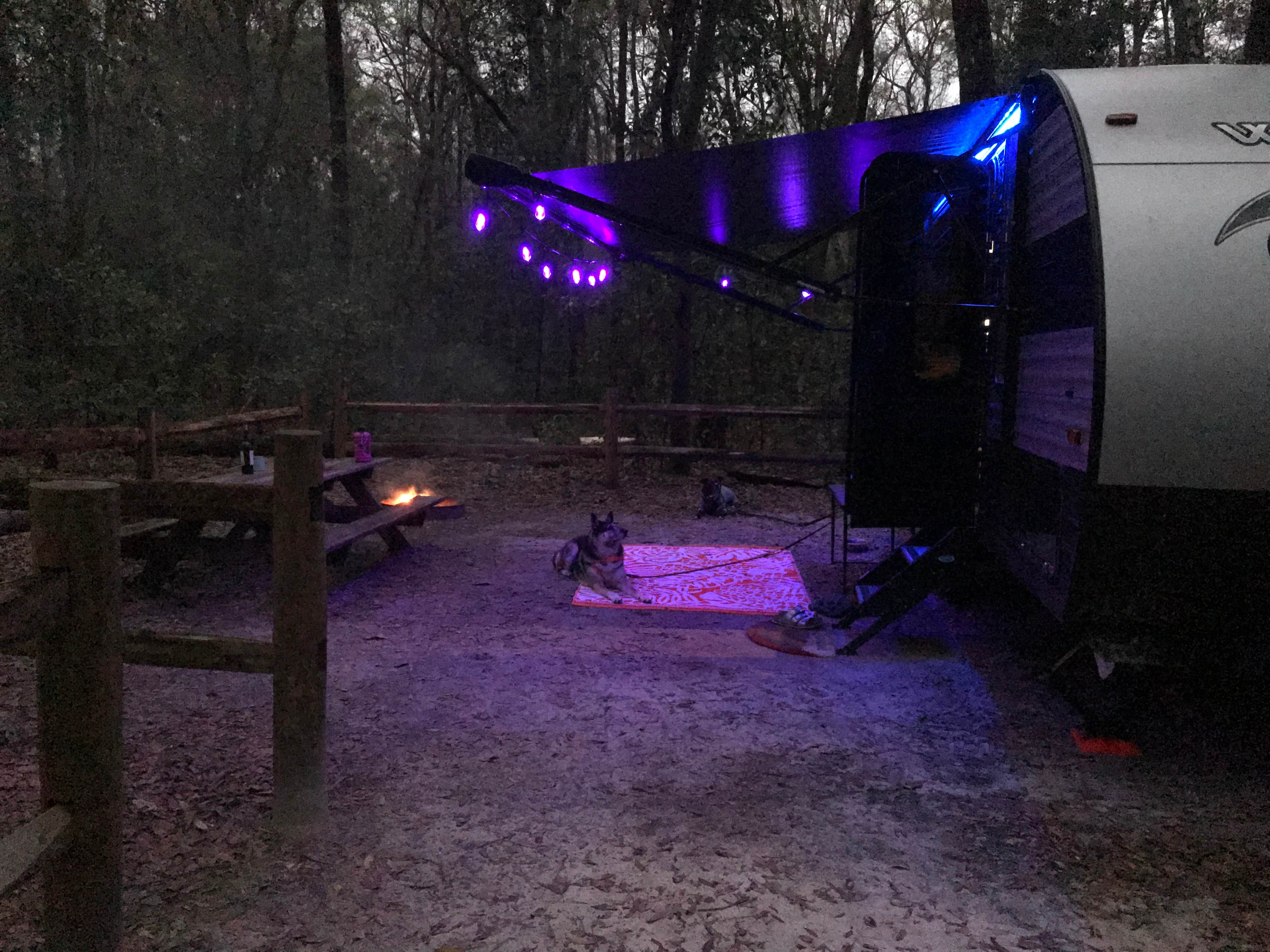 Angela M.'s photo at Magnolia Campground — O'Leno State Park near Lake Butler, FL