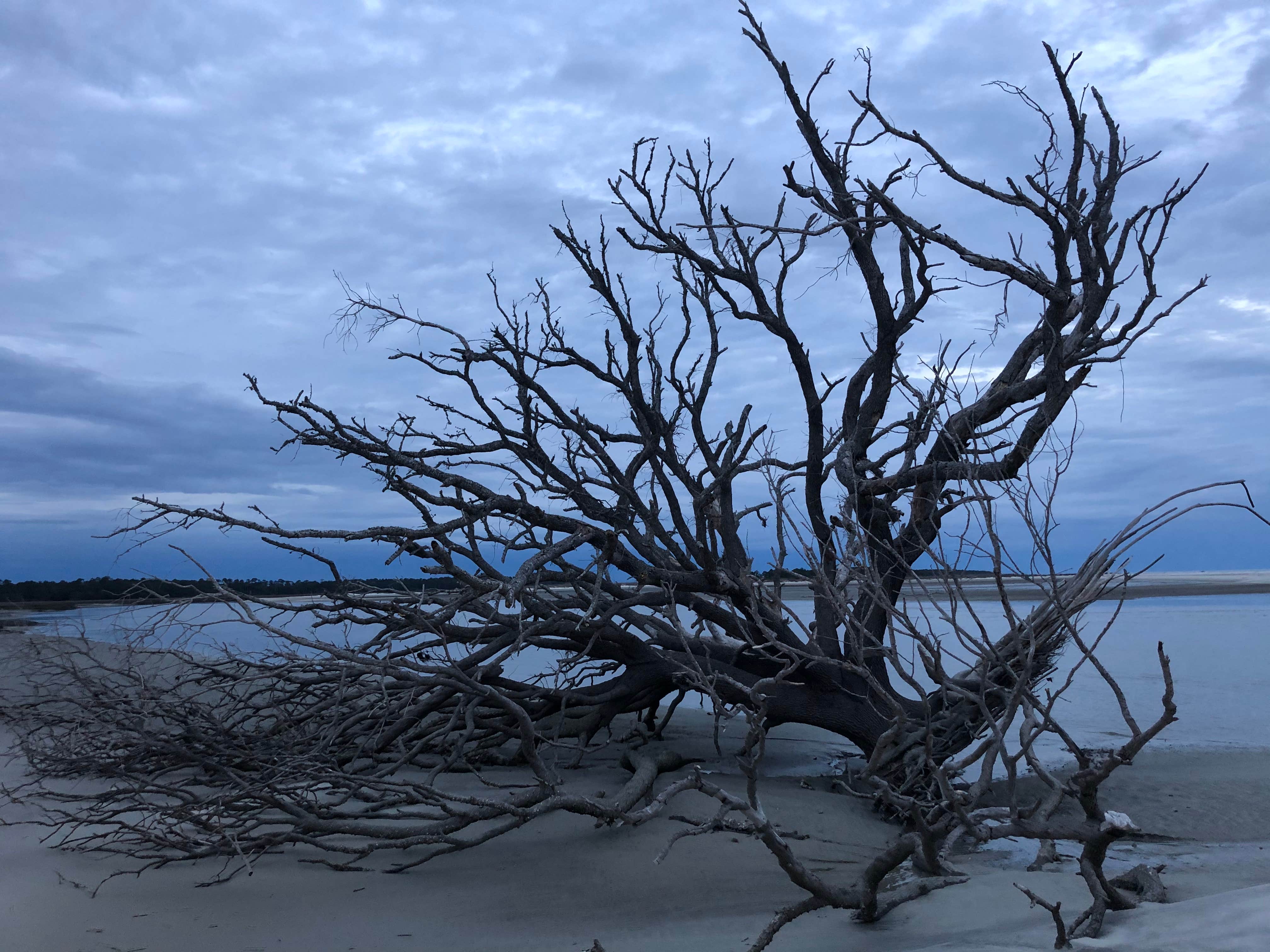 Camper-submitted photo at Cabretta Island Pioneer Campground near Cumberland Island National Seashore