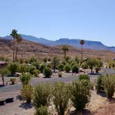 Review photo of Callville Bay NPS Campground by Shawn A., March 5, 2021