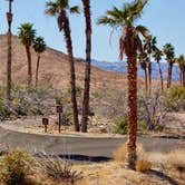 Review photo of Callville Bay NPS Campground by Shawn A., March 5, 2021