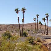 Review photo of Callville Bay NPS Campground by Shawn A., March 5, 2021