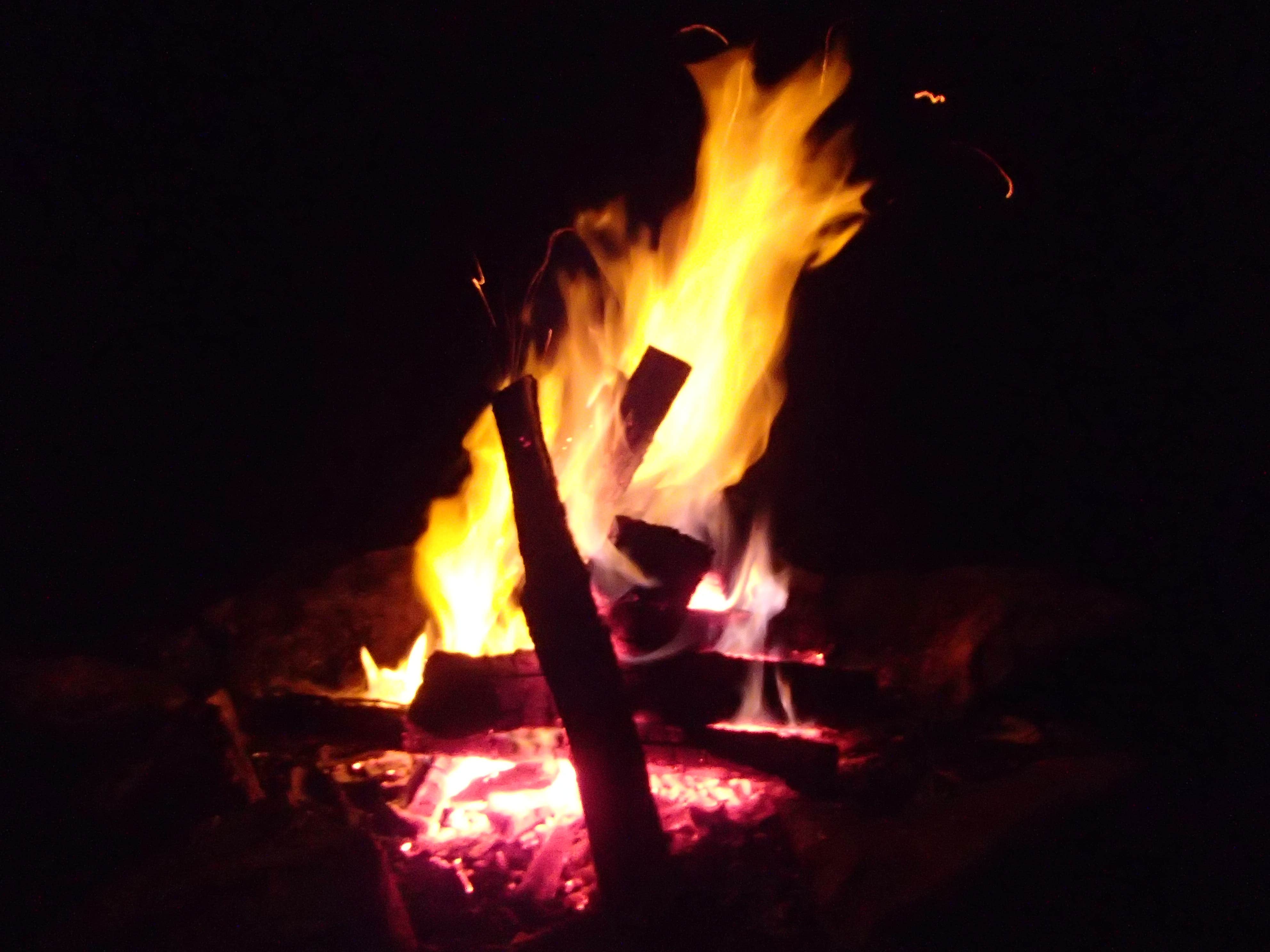 Camper-submitted photo at Laurel Fork Campground near Glady, WV
