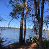 Review photo of Cagle Recreation Area by Debbie J., March 5, 2021