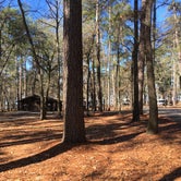 Review photo of Cagle Recreation Area by Debbie J., March 5, 2021