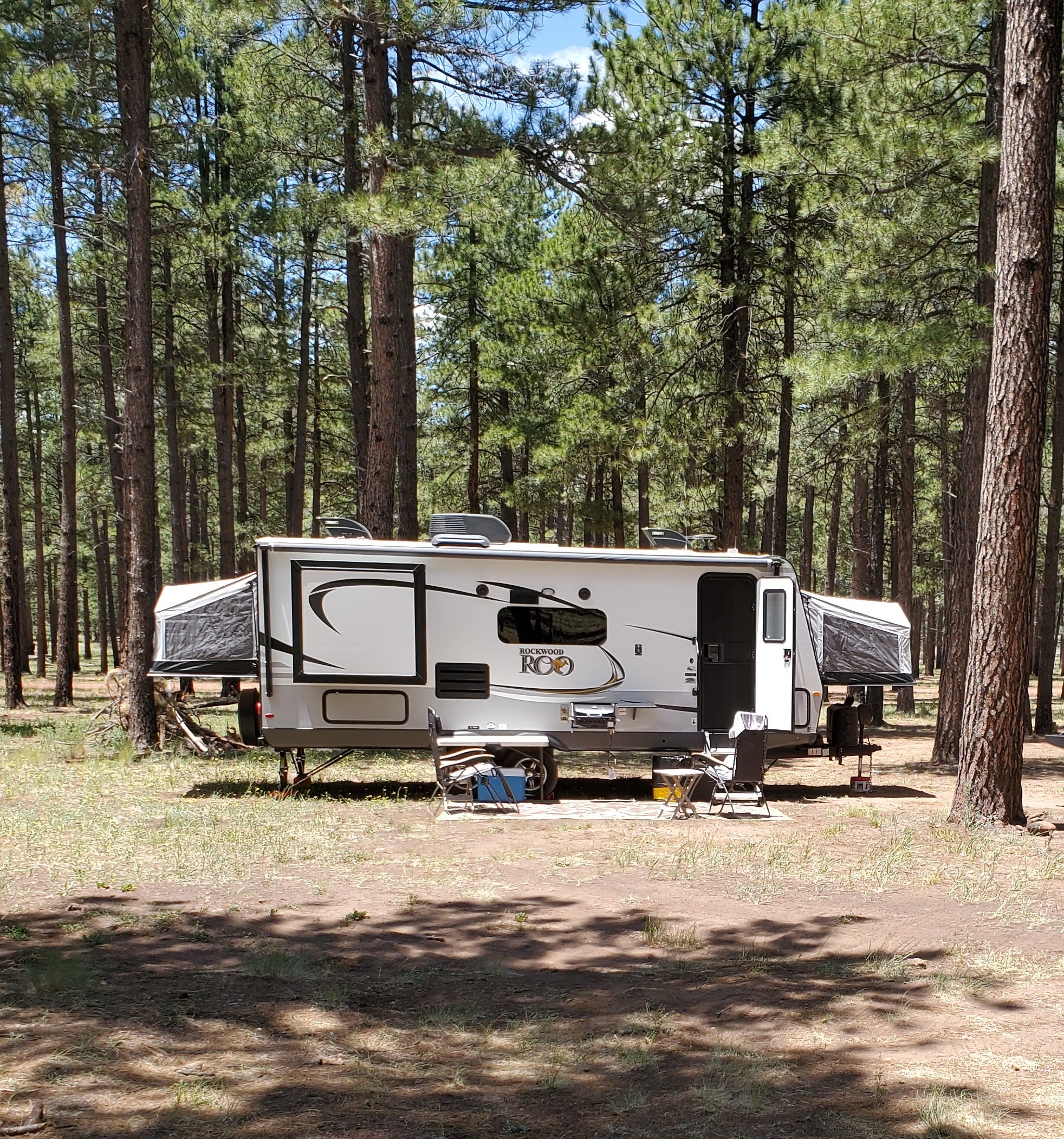 Camper submitted image from Dispersed Camping FS 124 - 1