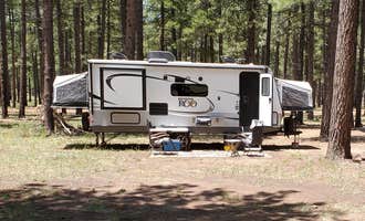 Camping near Antelope Tank: Dispersed Camping FS 124, Mormon Lake, Arizona