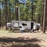 Review photo of Dispersed Camping FS 124 by Bob L., March 5, 2021