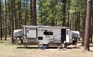 Bob L.'s photo at Dispersed Camping FS 124 near Mormon Lake, AZ