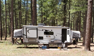 Camping near Winslow Visitor Center: Dispersed Camping FS 124, Mormon Lake, Arizona