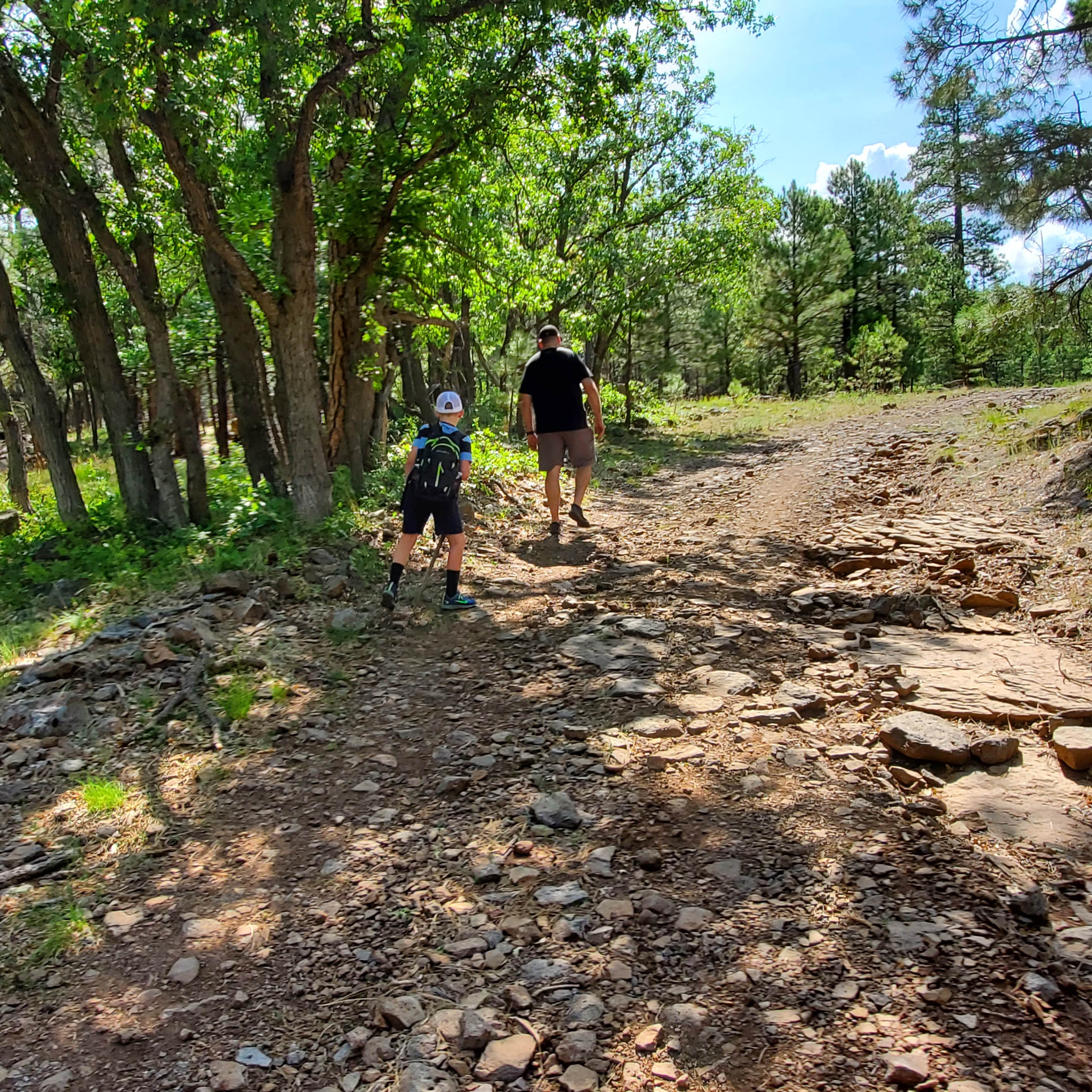 Camper-submitted photo at Dispersed Camping FS 124 near Happy Jack, AZ
