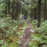 Review photo of Laurel Fork Campground by Dave V., September 26, 2016