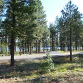 Review photo of White Horse Lake Campground by Bob L., March 5, 2021