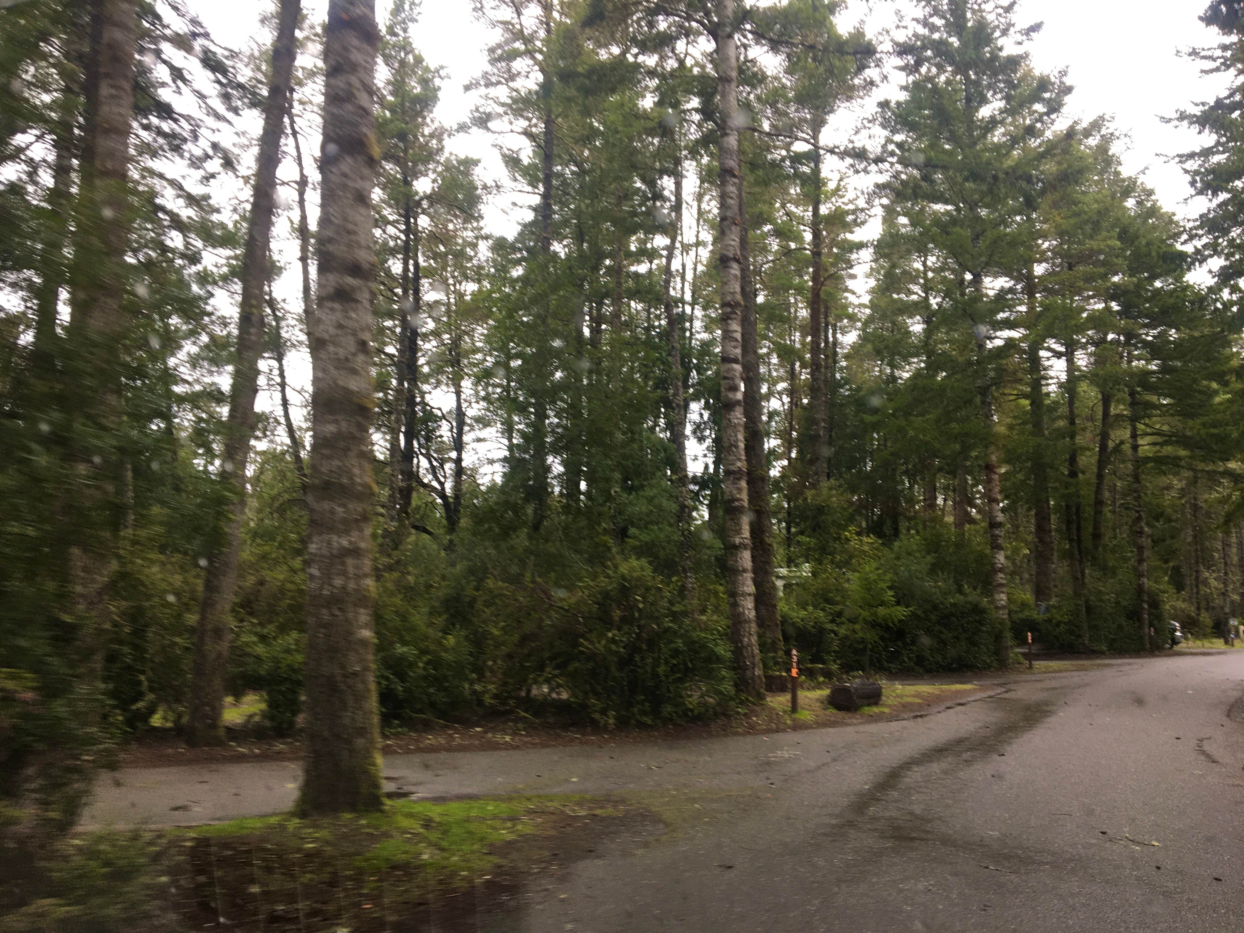 Camper-submitted photo at William M. Tugman State Park Campground near Coos Bay, OR
