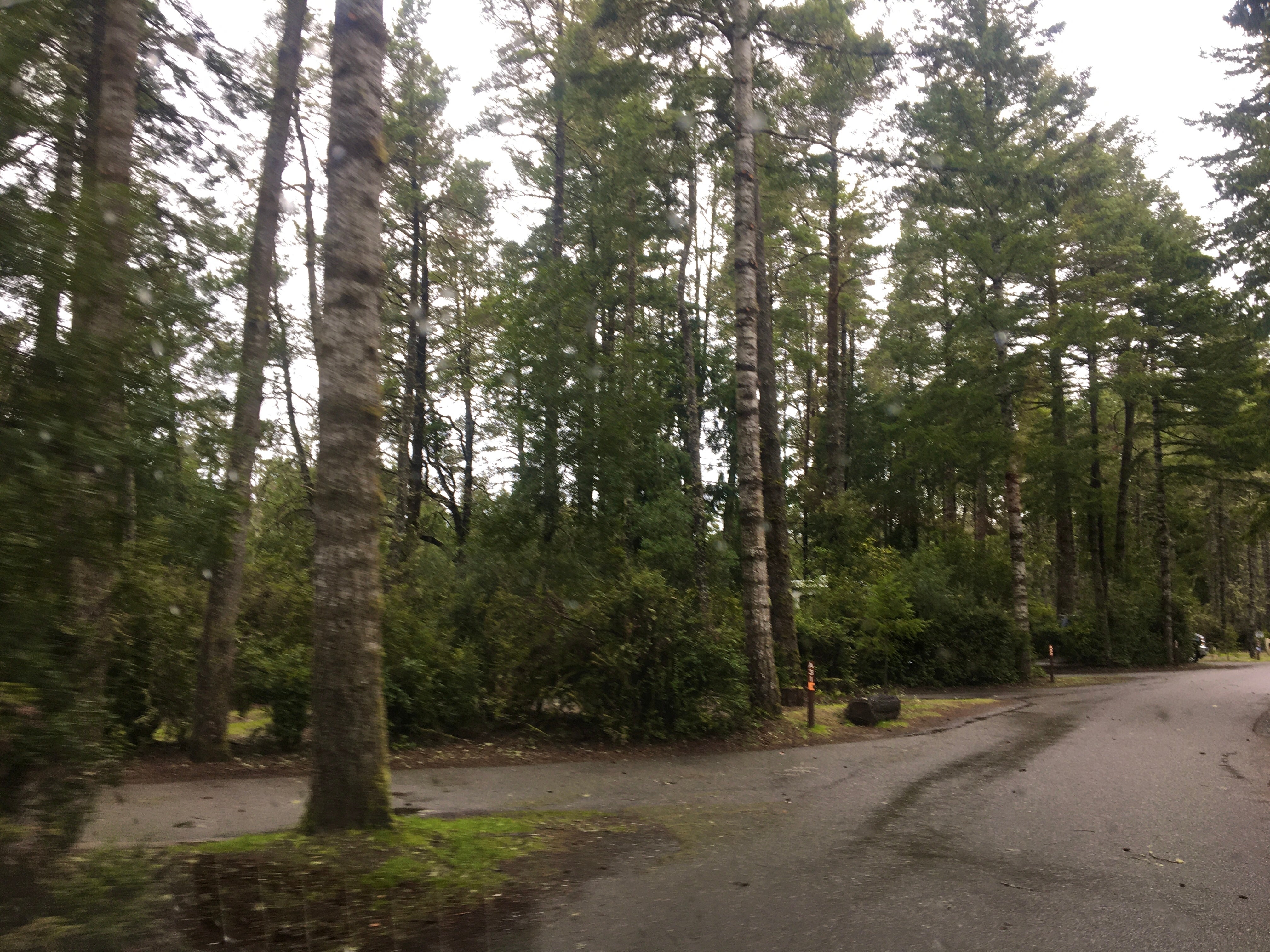 Camper submitted image from William M. Tugman State Park Campground - 5